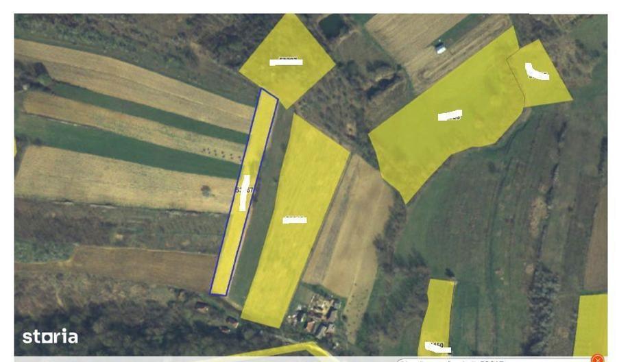 Teren extravilan, sat Topesti, comuna Dragesti, jud. Bihor - 4