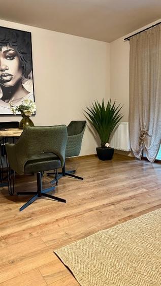 Confort ,liniste si intimitate Dumbravita - 6