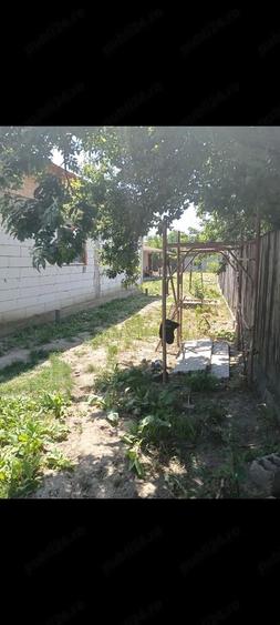 Casa de vanzare Lipane?ti Prahova - 4