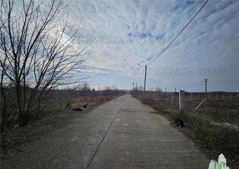 Teren intravilan Harsova - 6