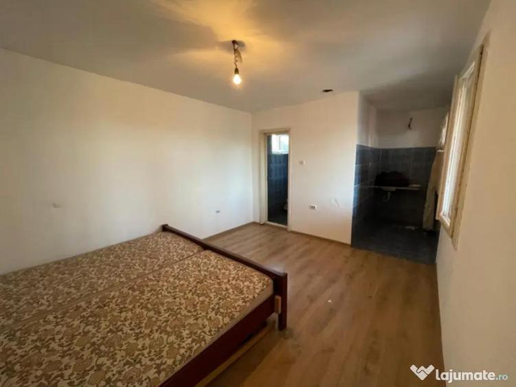 Investitie pentru liniste si oaza de verdeata - 5