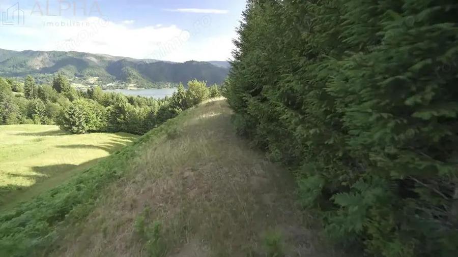 Teren Intravilan de 1.7 Hectare in Colibita - 7