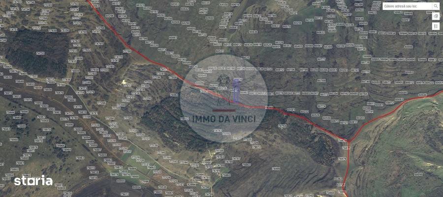 Pachet investitie terenuri Borsa Cluj 37.839 mp | 12.039 mp intravilan - 8