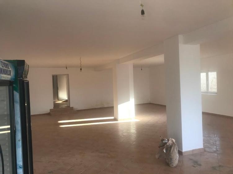 Casa (spațiu comercial) de vânzare Bălăceanu - 4