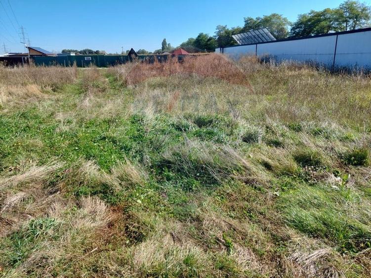 Comision 0! Gradina ta din Brasov 300mp, 514mp sau 1114mp - 5