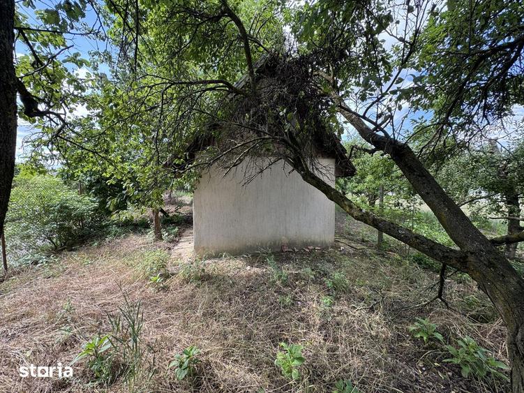 Teren intravilan / gradina cu cabanuta , zona Bercu Rosu - 1