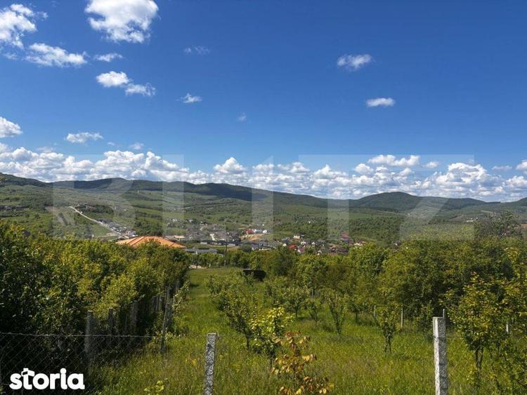 Teren extravilan de vanzare, 2500 mp, zona Valea Sigmirului - 3