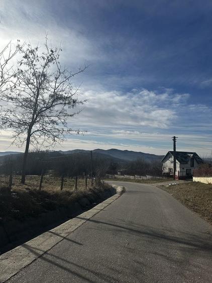 Teren de vanzare comuna Mioarele, sat Matau - 1