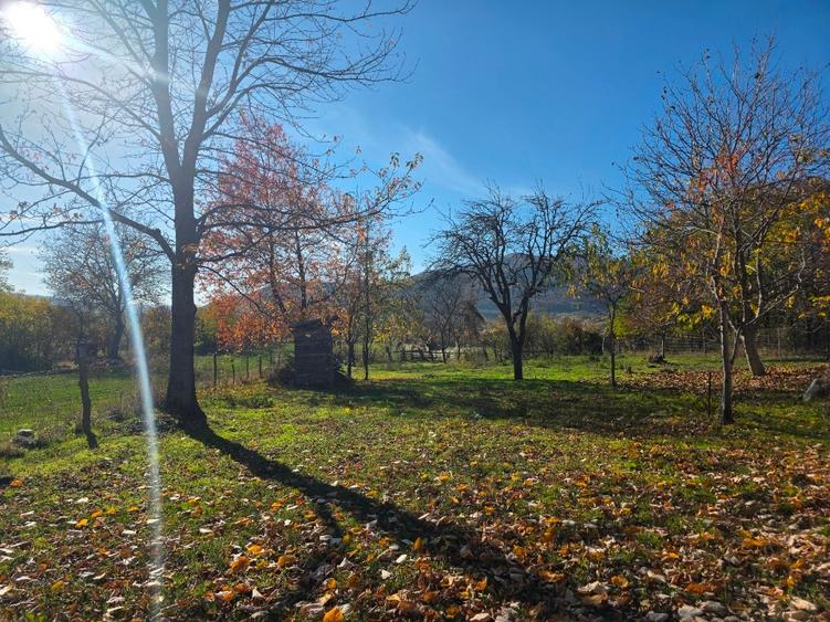 Teren intravilan in Buzau, sat Tega, 3300 mp - 1