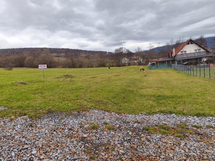 Teren de vanzare Sovata - 8