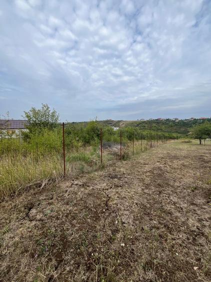 VAND 1000 M Teren INTRAVILAN ,Zona Adevarului Strada LIVEZILOR - 7