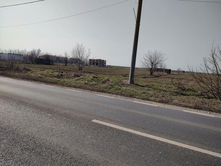 Frumusani.deschidere la dn4 5000mp.proprietat - 13