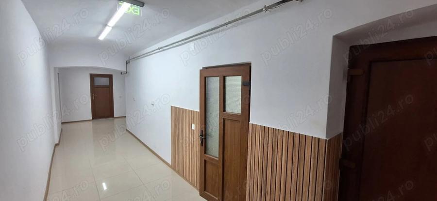 Inchiriez demisol zona Elisabetin - 1