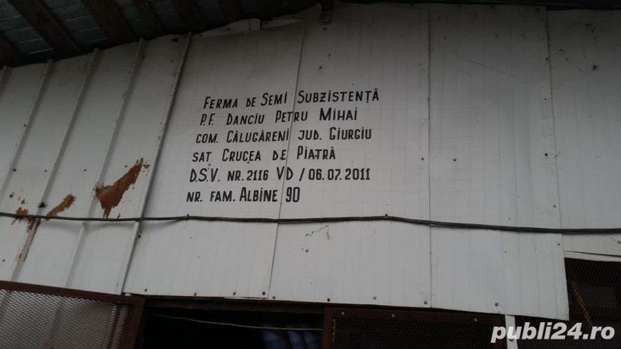 Ferma Calugareni 11860 mp 90 000 Euro - 3