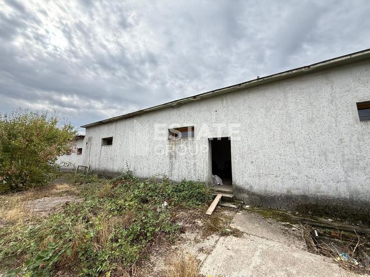 Hala de productie sau pentru depozitare Ortisoara - 1