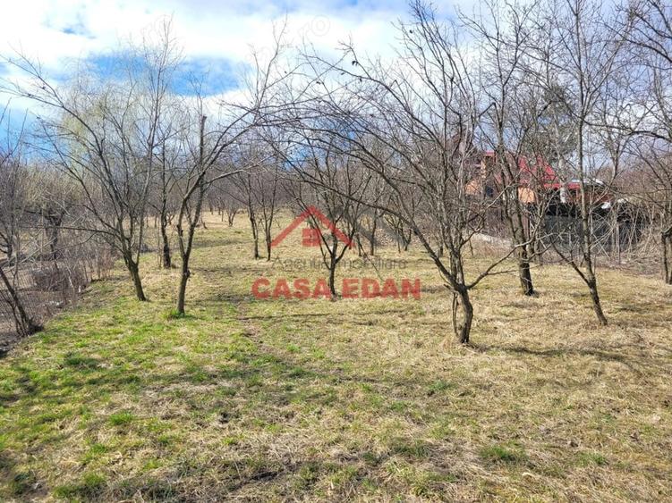 Teren intravilan in Poiana Campina --3676 mp--8e - 14