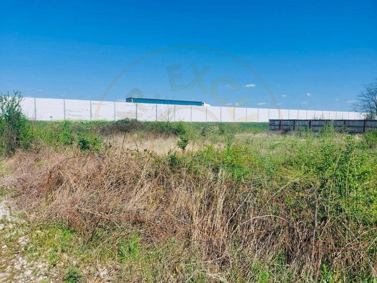 TEREN INTRAVILAN Pitesti - Bananani  - 2183 mp - 2