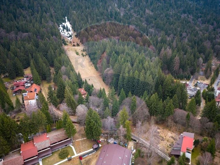 Teren 2000mp intravilan de vanzare in Poiana Brasov! Comision 0%! - 17