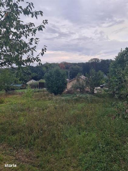 Teren Gheoghe Doja - 3