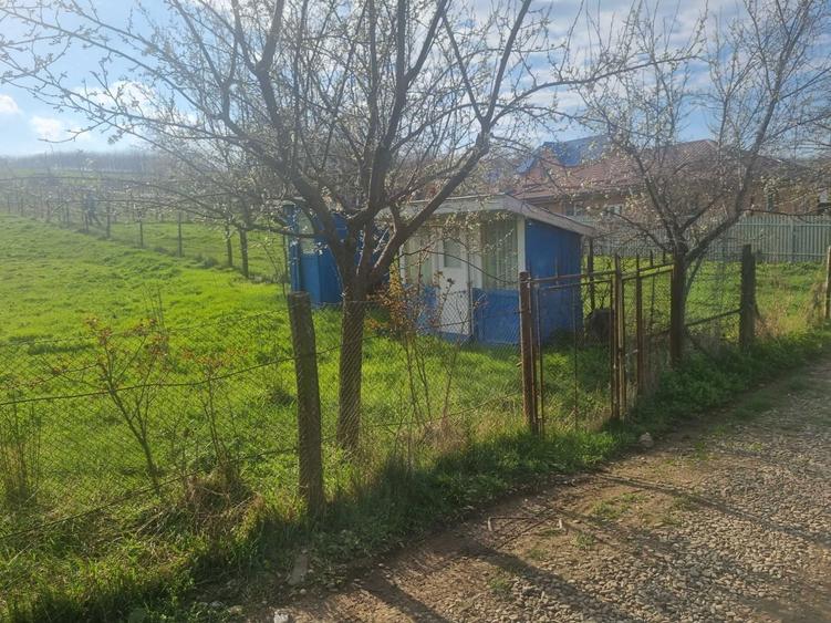 Teren vanzare - Rusenii noi - 7