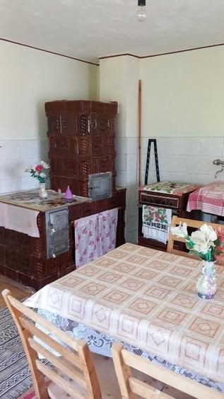 Gospodărie completă + anexe și teren 1,5 ha Năsăud - 7