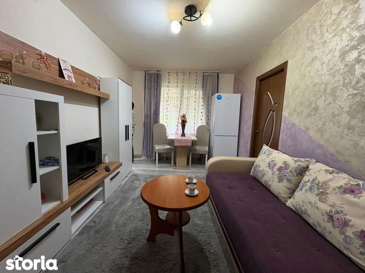 Apartament primitor si renovat, la parterul unui bloc inconjurat de ve - 8