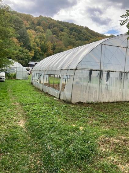 De vanzare teren Telega - 4