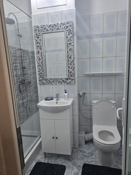 Parcul Circului, Bd Lacul Tei, decomandat - 10