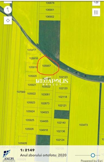 Teren Bod 1200mp/ 37 euro mp - 2