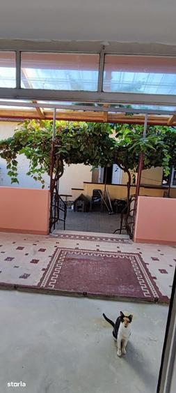 Casă cu 4 camere cu Teren 401 Mp în Salca