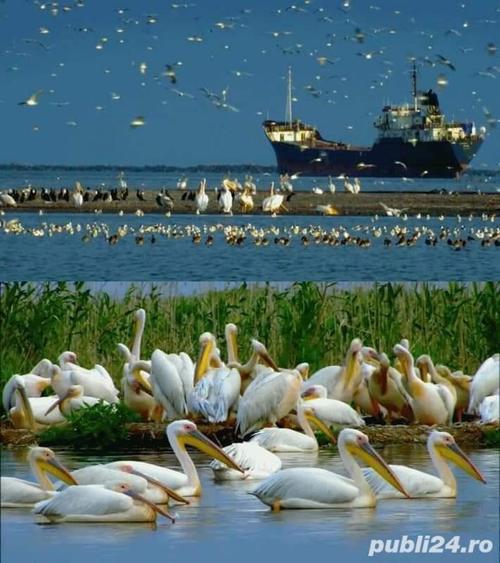 Delta Dunarii - Casa de vacan a - Ilganii de Sus - 10