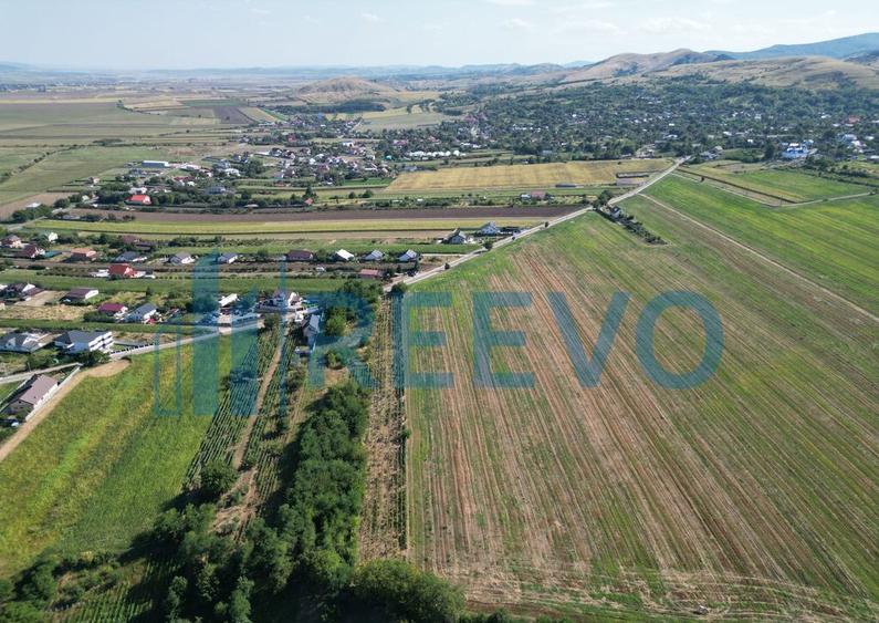 Teren de vanzare, Com. Sarata, Jud. Bacau - 3