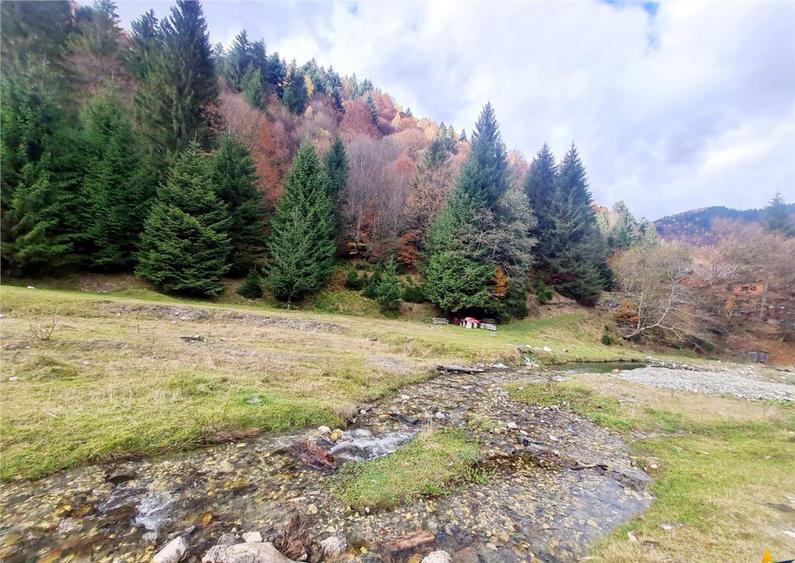 Teren intravilan panoramic 4.600mp,view iconic Piatra Craiul - 11