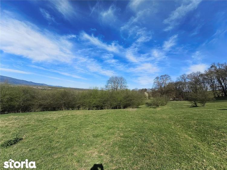 Teren de vanzare in Talmaciu zona Bratanu - 3