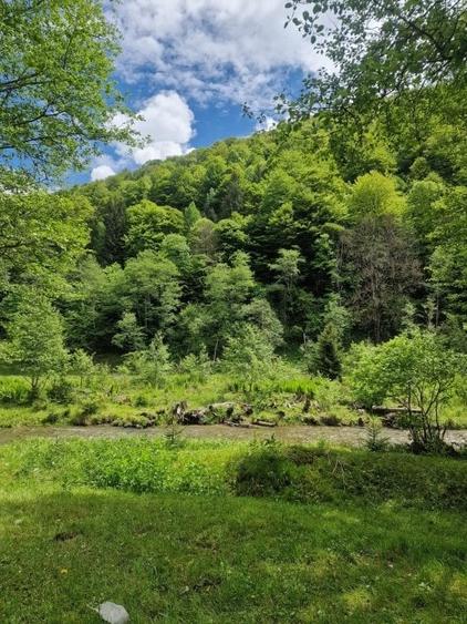 Teren intravilan - Rucar - Satic - 1775 mp - la strada principala - deschidere - 16