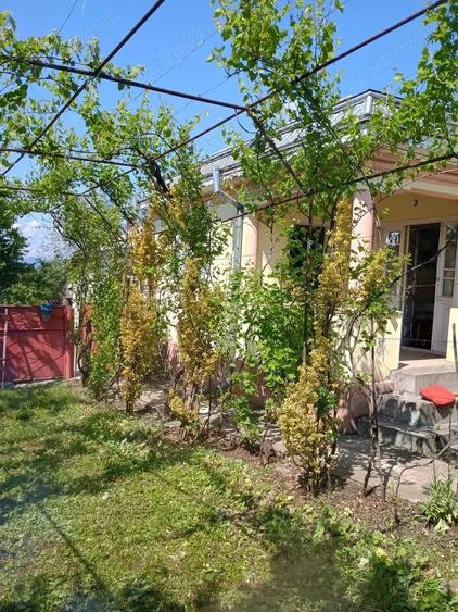 Casa de vanzare MARASTI - 5