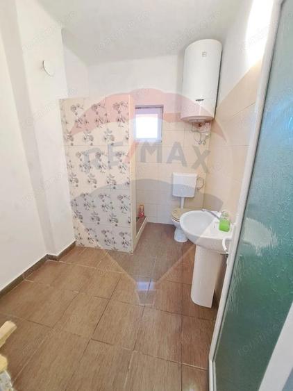 Proprietate exclusiva cu poten?ial turistic Bezid, jud. Mures - 2