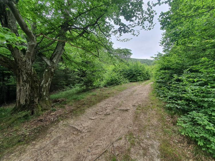 Teren intravilan Brasov zona Poiana Aviatorilor - 2