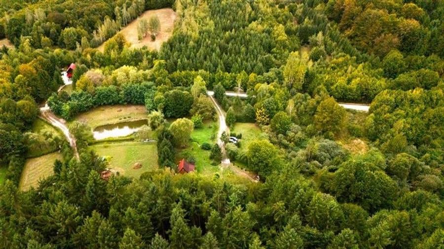 Tur 3D!Cabana de vacanta,zonare valoroasa, cu teren de 2.100 mp,Vladeni,Brasov - 6