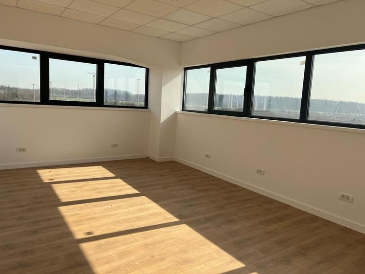 Hala depozitare si productie 1550 mp. Mogosoaia - Buftea - 7