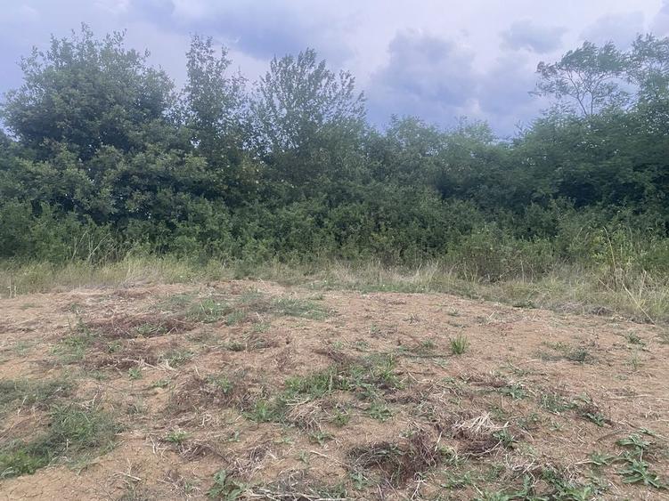Teren watman 1500 m2 - 3