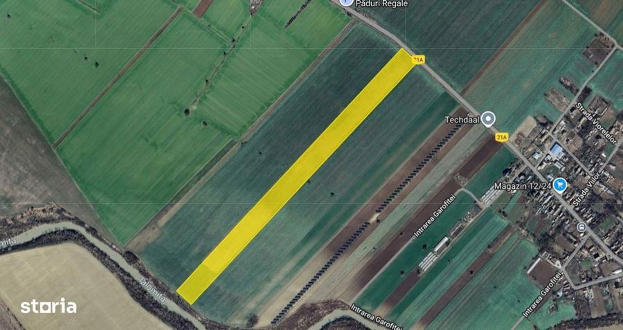 Cel mai bun pret! 1.5 ha, lot teren localitatea Nuci, Ilfov - 3