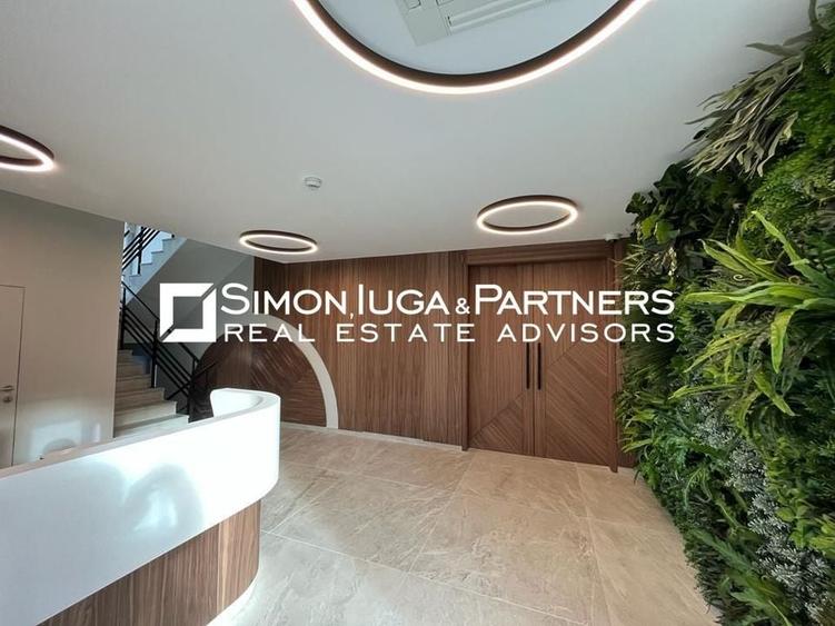 Birouri de inchiriat Brancusi - 4