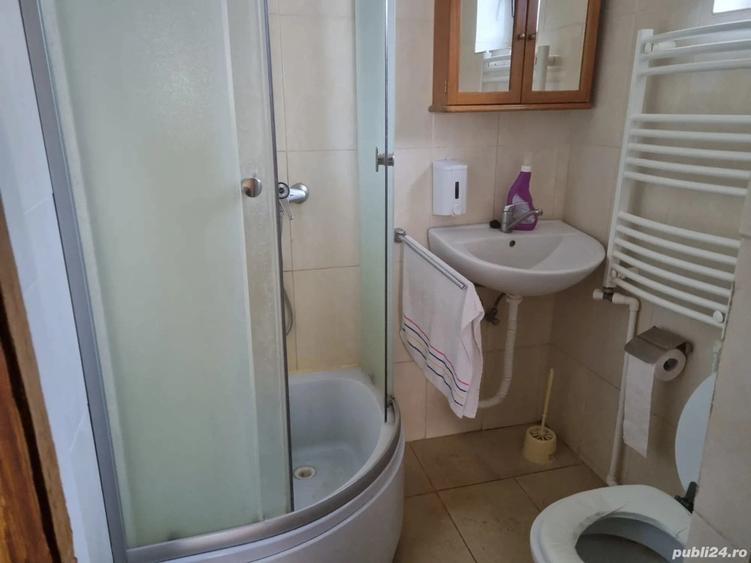 Casa+ livada Amnas, jud. Sibiu - 4