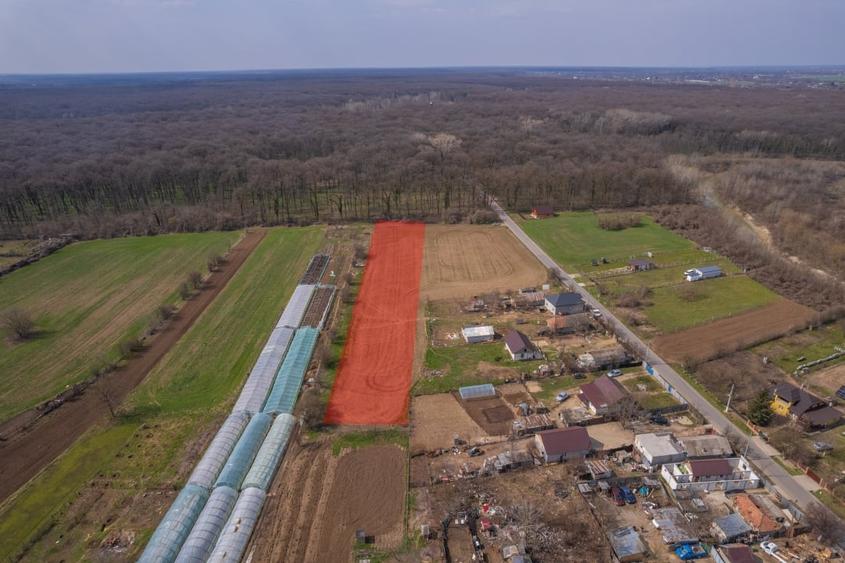 NUCI - BALTA NEAGRA, LOT 3900 MP, LA PADURE! - 3