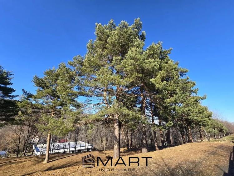 Teren intravilan Cisnadioara - 1