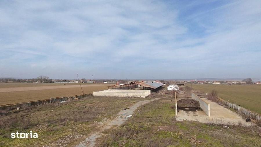 VAND sau INCHIRIEZ FERMA in Salcioara, judet Tulcea - 1