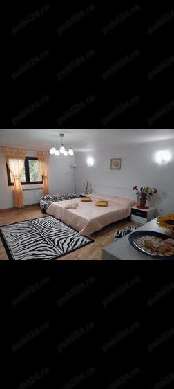 casa de inchiriat Petre?ti Vrancea - 3