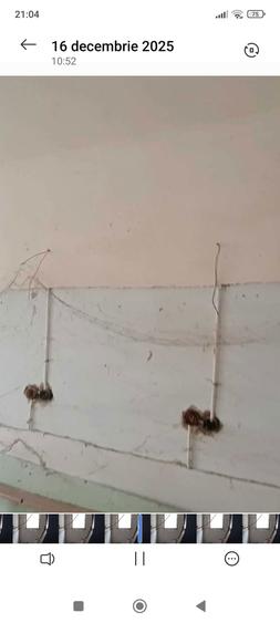 Apartament 3 camere parter nemodernizat. - 1