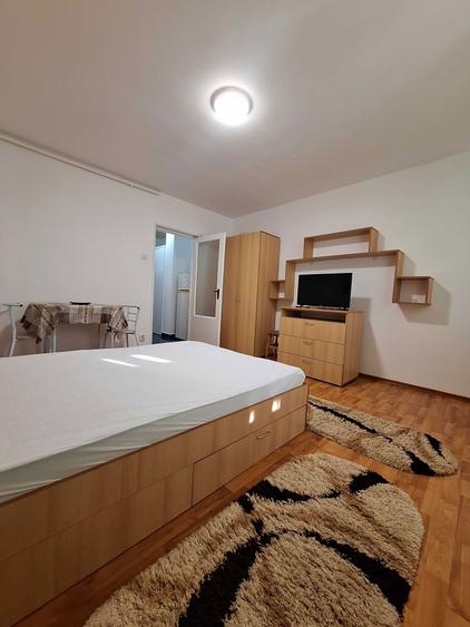 Garsoniera Titan - Constantin Brancusi - 2